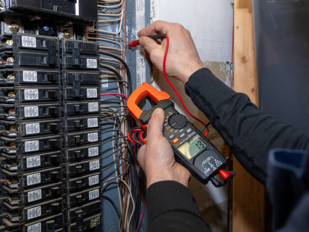 Best Electric Panel Repair  in Muenster, TX